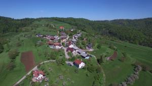 Gorenja vas1
